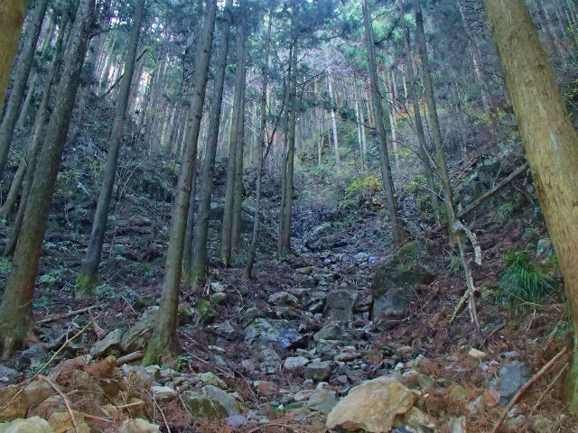sP1050012.jpg