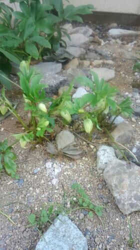 rblog-20180219160510-01.jpg