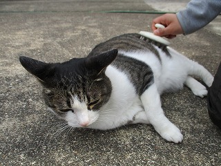 IMG_9723ss.jpg
