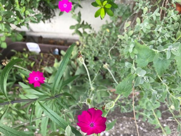rblog-20180628172024-00.jpg