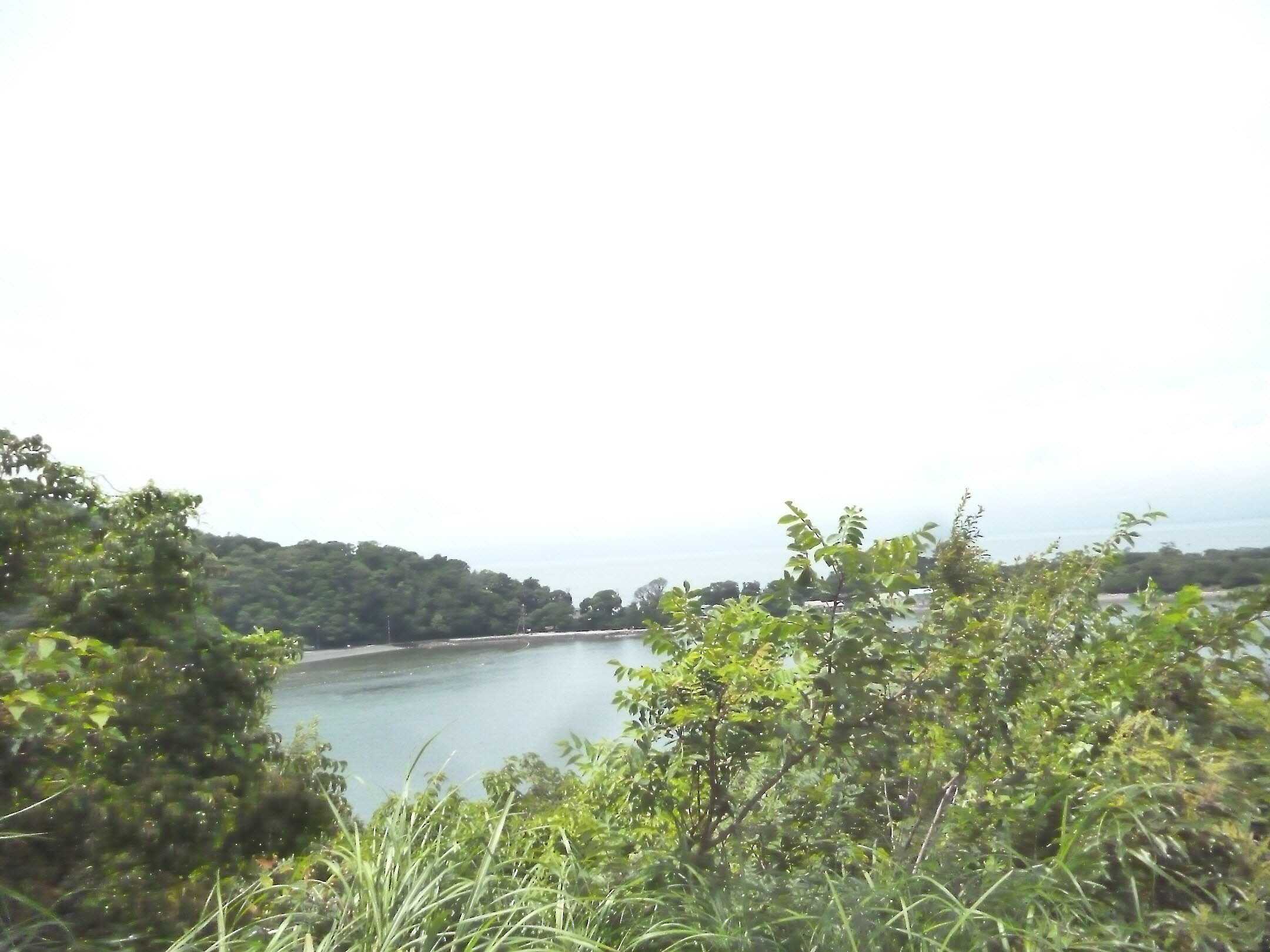 海と真珠 楽天ブログ