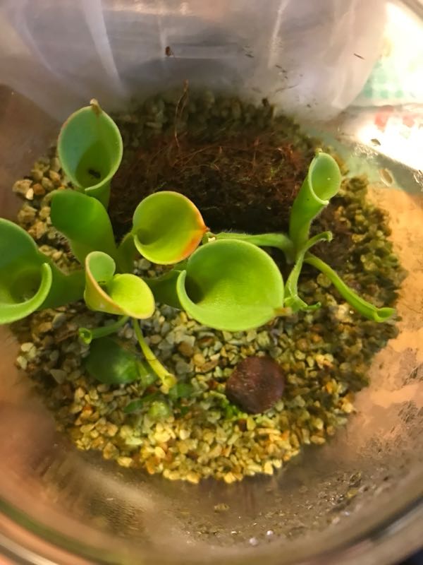 rblog-20180505030439-01.jpg