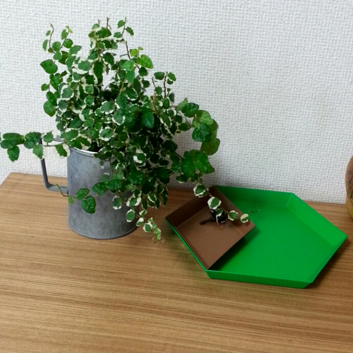 2014-07-31_17.32.48.jpg