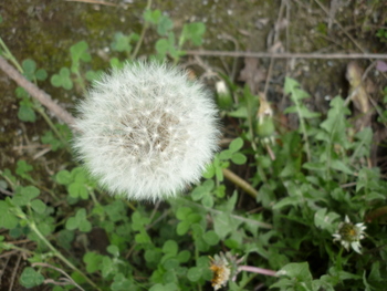 P1050234.JPG