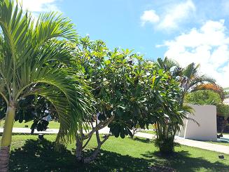 20130512_095601.jpg
