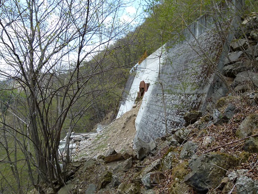 P1070058.JPG