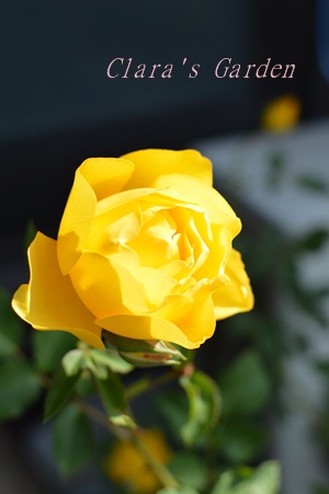 DSC_0005.JPG