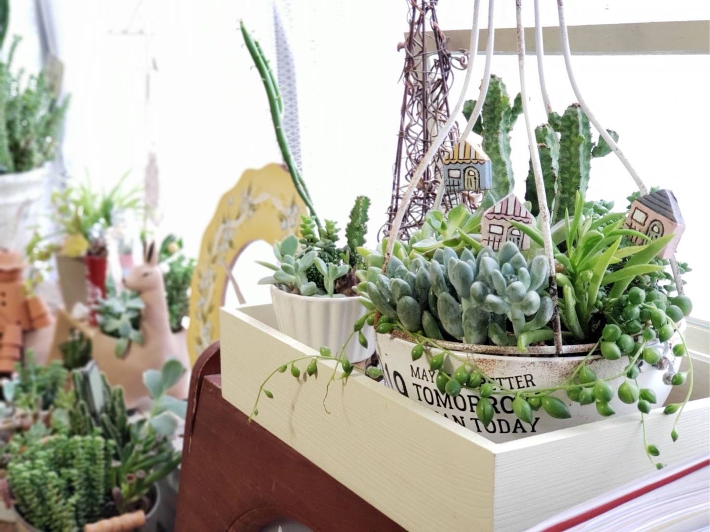 寄せ植え わたしのブログ By Kana 楽天ブログ