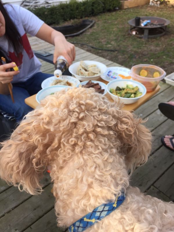 rblog-20180423212615-02.jpg