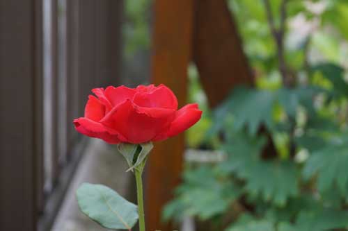 DSC00063.jpg