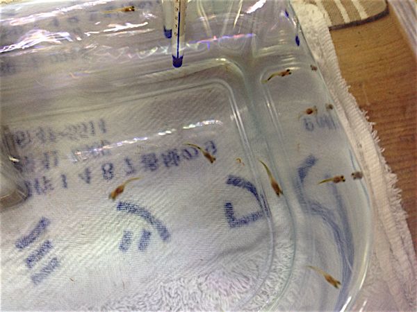 rblog-20140927181400-01.jpg
