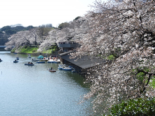 千鳥ヶ淵緑道