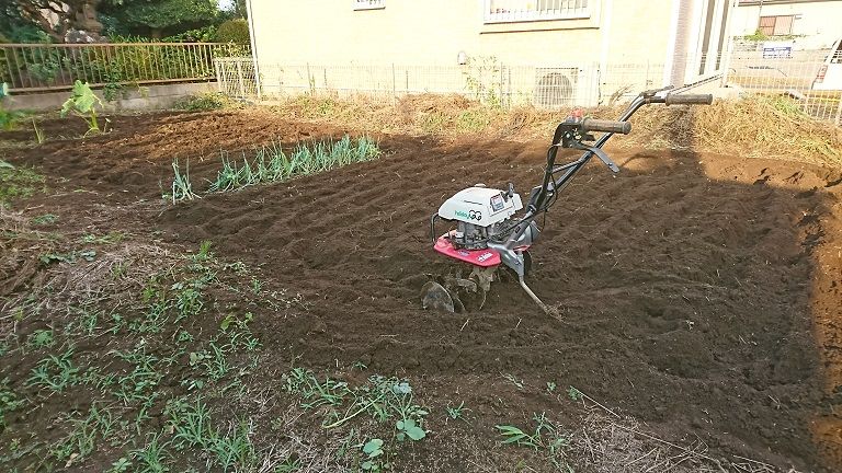 畑を耕す ほっとする音楽 猫 野菜作り 楽天ブログ