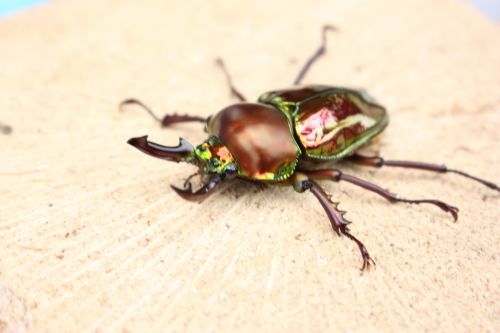 2015062502.JPG