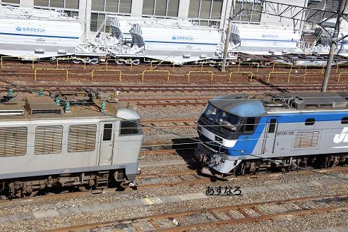 最近の稲沢 翌檜 「お暇便り」 楽天ブログ