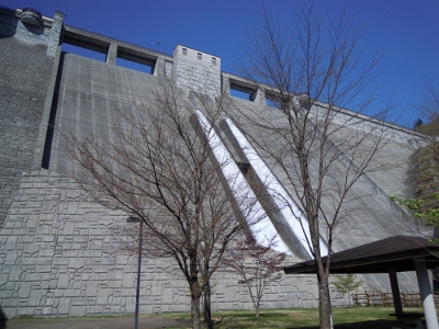 DSCN9016 (400x300).jpg