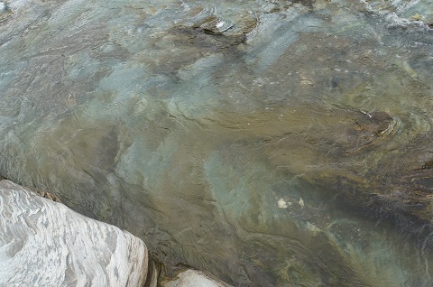 DSC00502.JPG