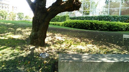 rblog-20170911223512-02.jpg