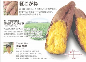 紅こがね.jpg