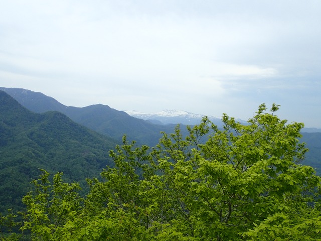 P5263279 12：57無意根山.jpg