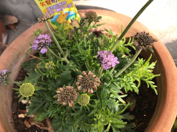 rblog-20180324203515-00.jpg