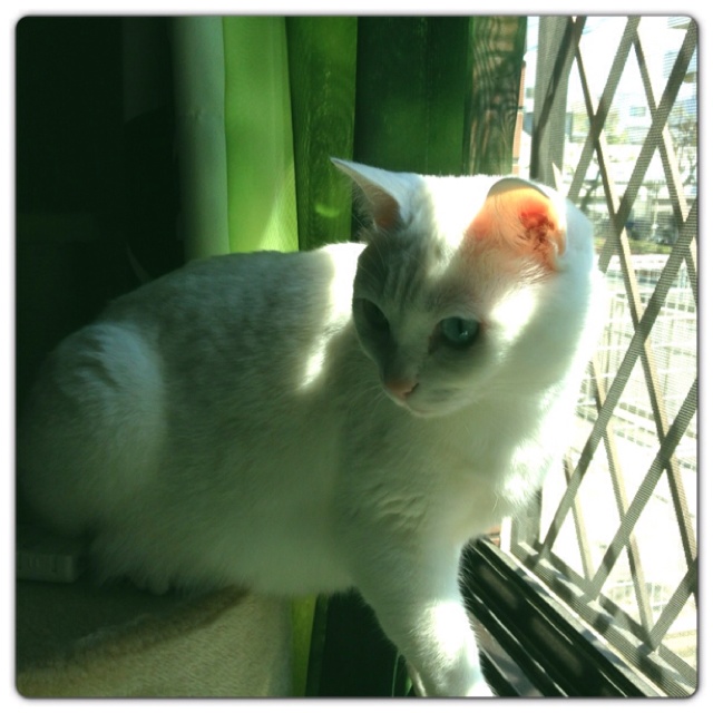 rblog-20130422164823-00.jpg