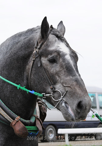 08Pronger061509Ob9R_03