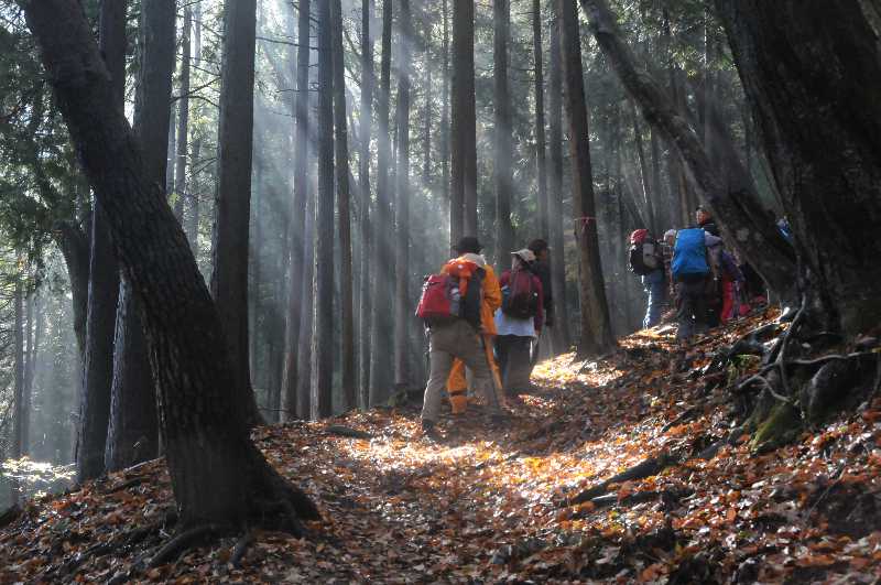 醍醐山一斉登山の思い出（1）～鈴木秀光写真館vol.4 | 醍醐山と下部（しもべ）温泉 - 楽天ブログ