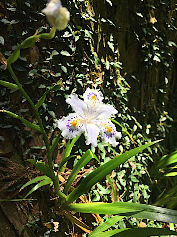 rblog-20180515224923-08.jpg