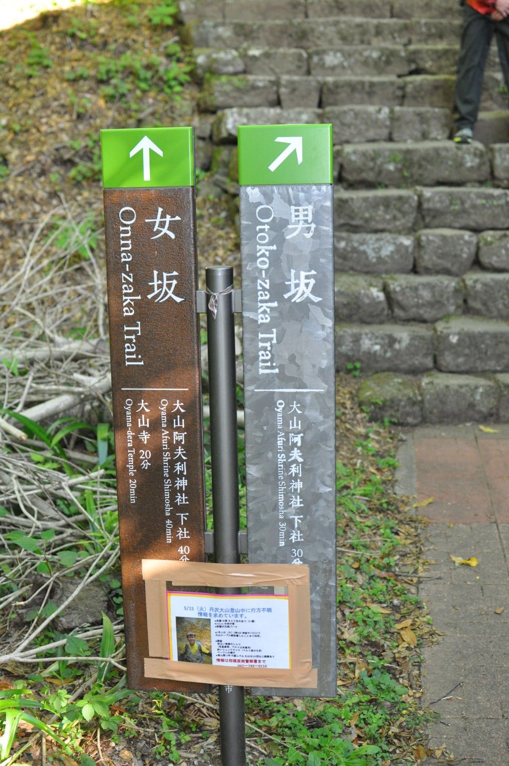 2018年5月20日 大山（神奈川）登山 ※行方不明男性発見されました | GATO NEGRO 安心してください 毛玉 吐いてますよ