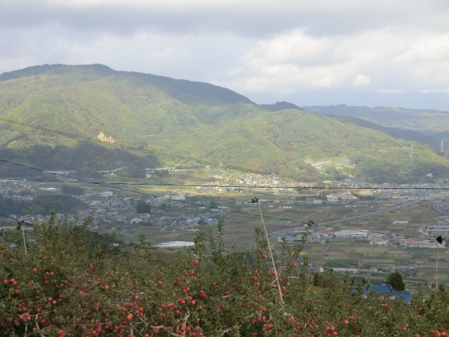 CIMG7043.JPG
