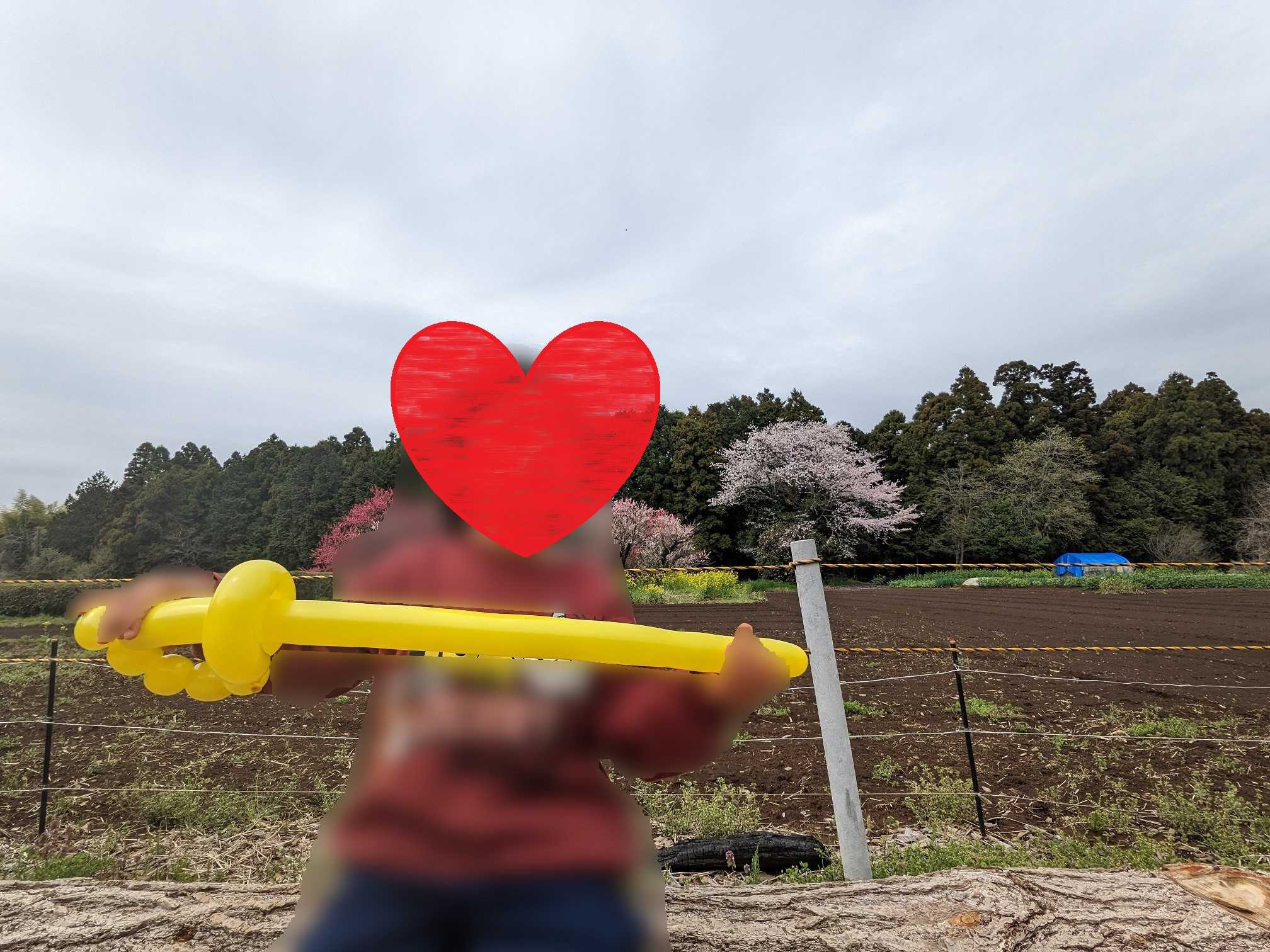 吉高の大桜を守る会のおじさんがバルーンアートの剣をくれました