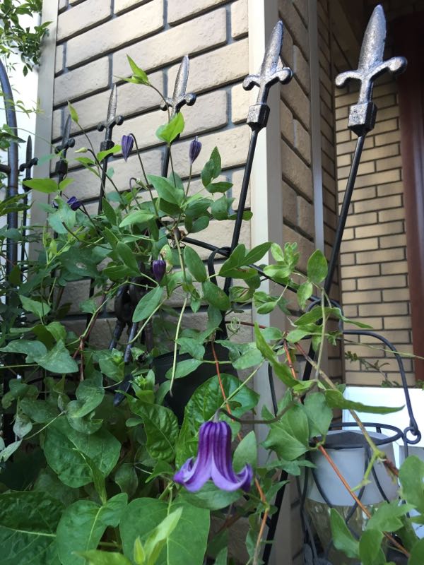 rblog-20160731174025-07.jpg
