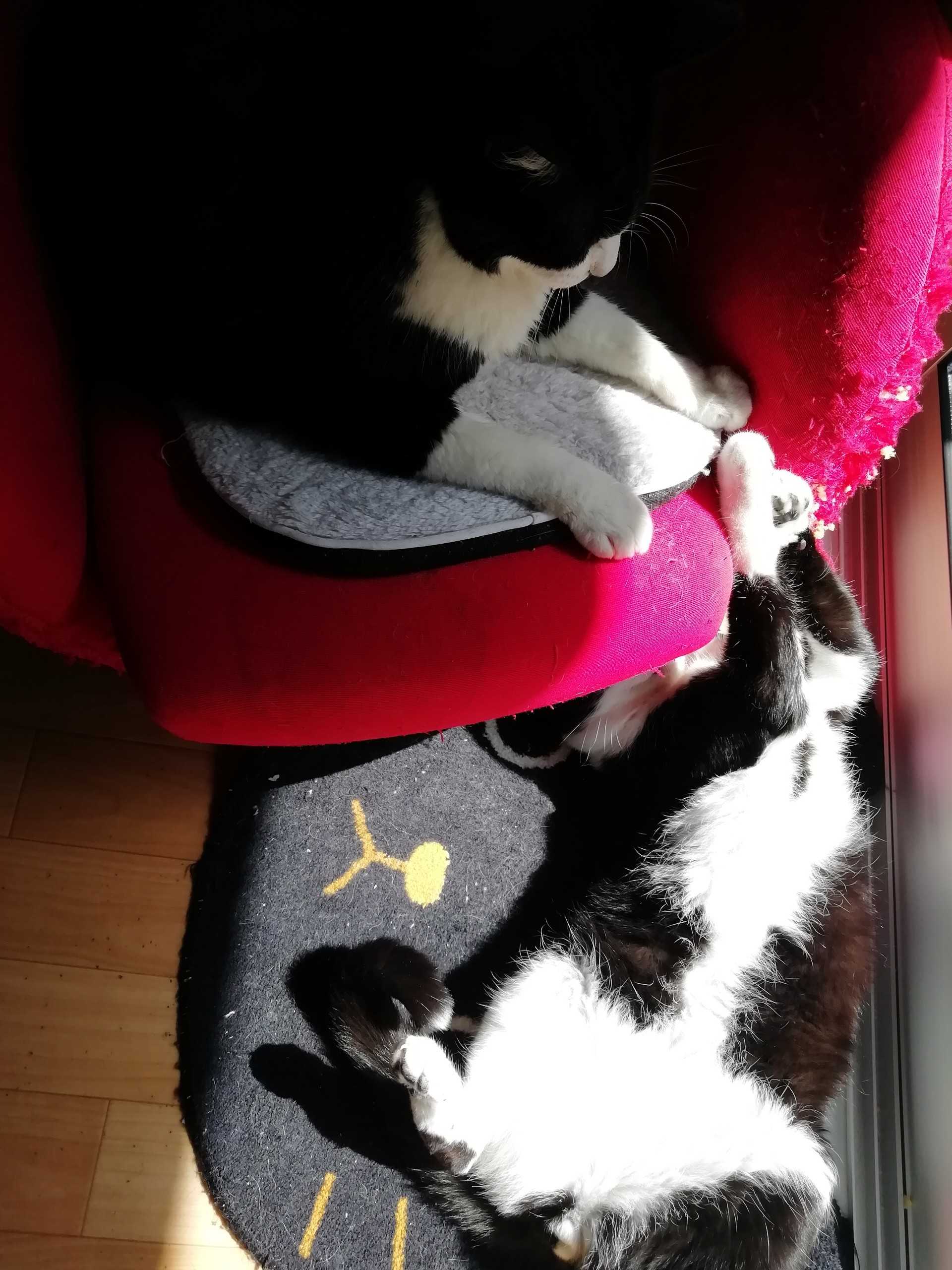 記事一覧 ぷ日記 楽天ブログ