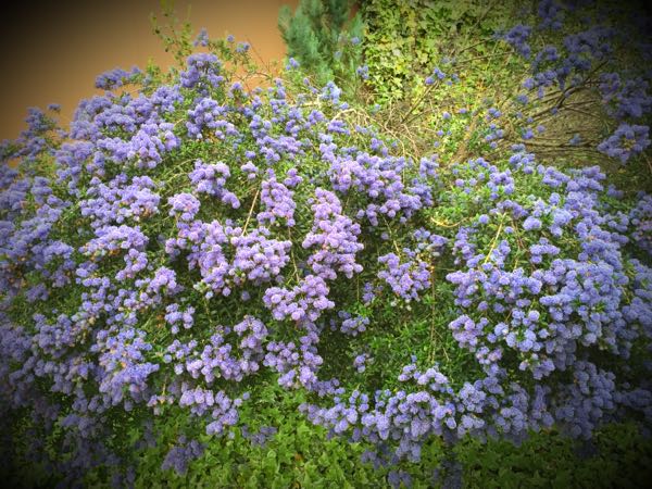 rblog-20160426010130-06.jpg