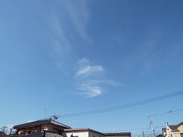 2016-02-18-kohakutyou-174-b.jpg