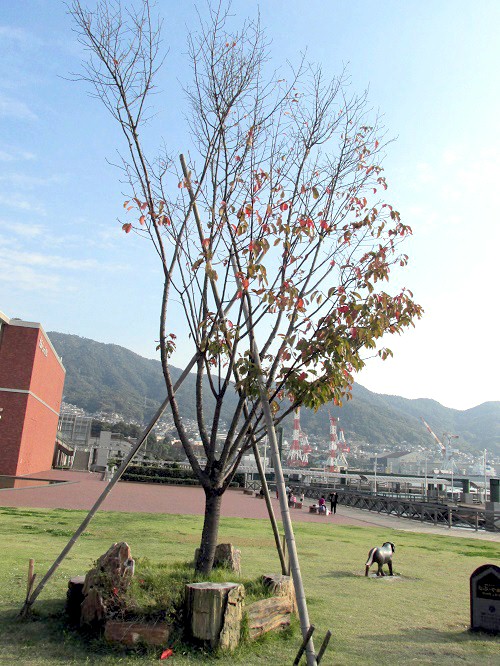 綺麗な花壇の縁石