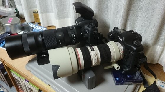 シグマ 100-400mm F5-6.3 DG OS HSM [キヤノン用] | フィギュア