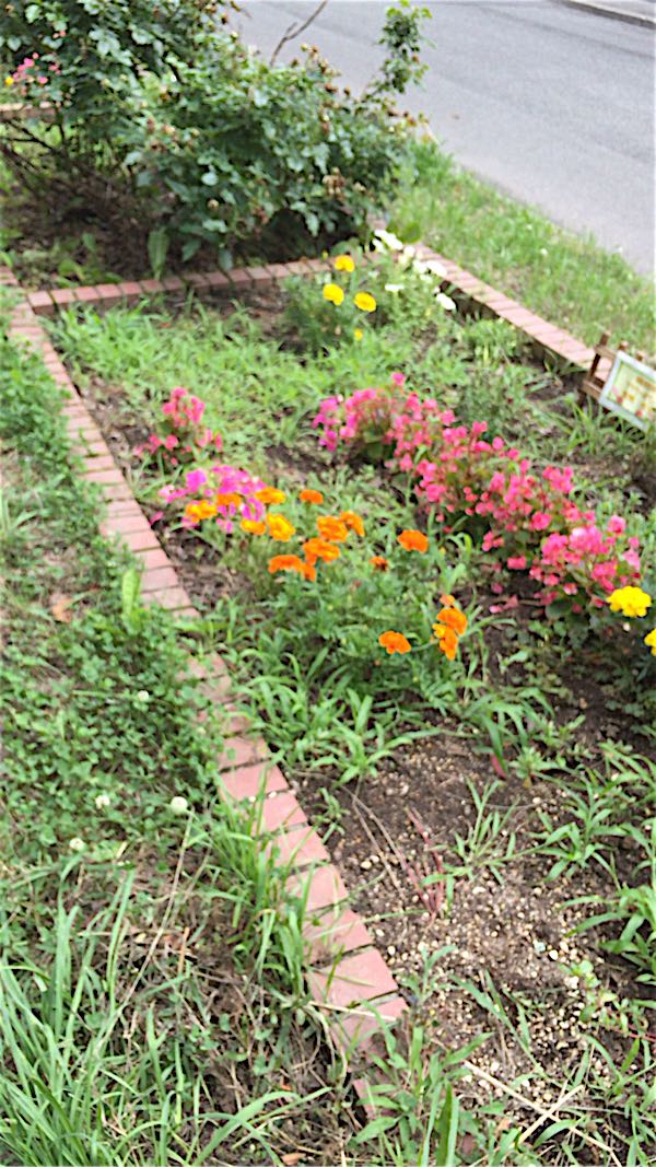 rblog-20160731220510-04.jpg