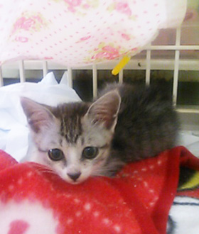 20130612d.jpg