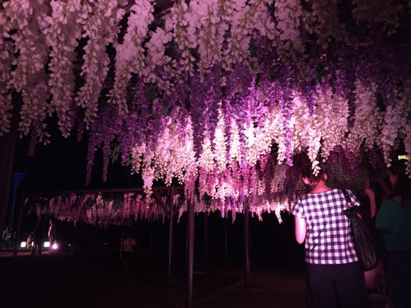 rblog-20181008000309-06.jpg