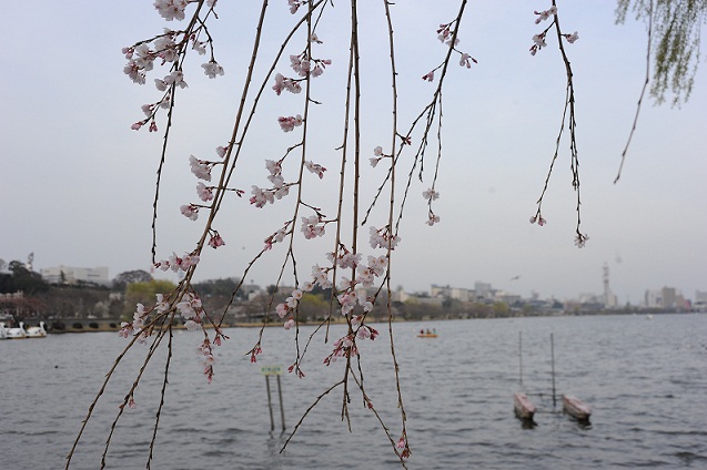 2013.3.22 040.JPG