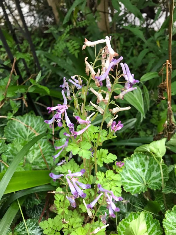 rblog-20190419193912-05.jpg