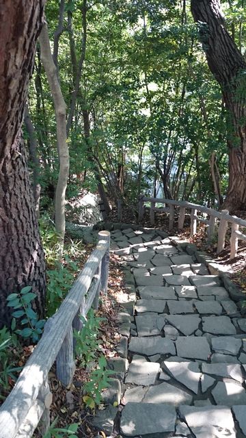 2015-11-03 13.30.52.jpg