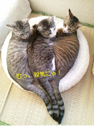 20120722_4.jpg
