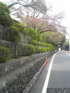 佐野公園東側１
