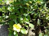 P1020801-1.jpg
