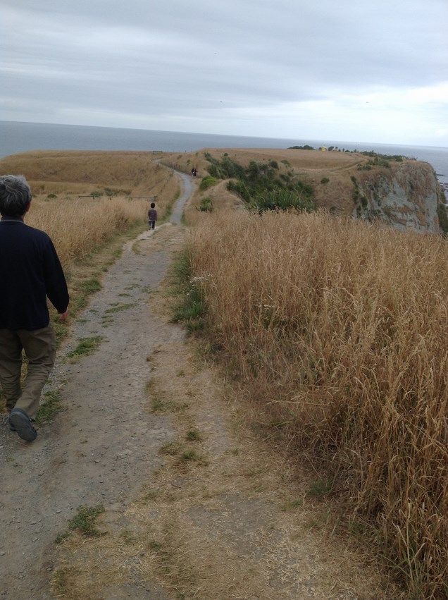 2015-01-06 12.52.12 (コピー).jpg