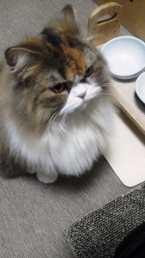20140801101348.jpg