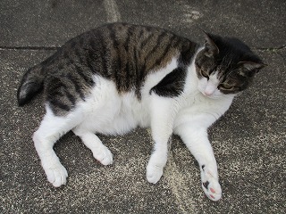 IMG_9740ss.jpg